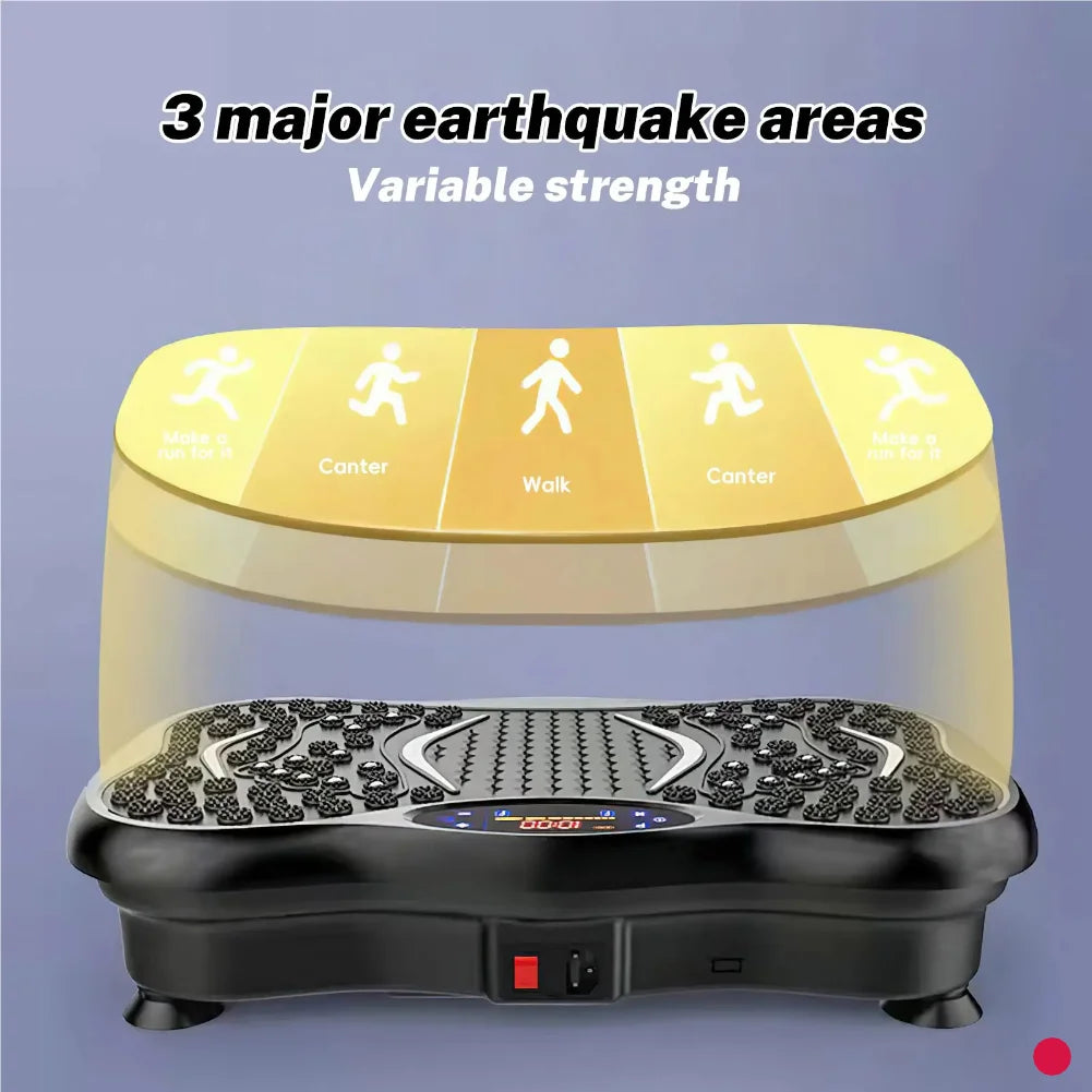 Precision Whole Body Vibration System