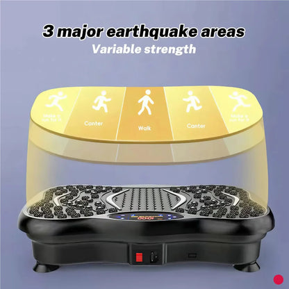 Precision Whole Body Vibration System